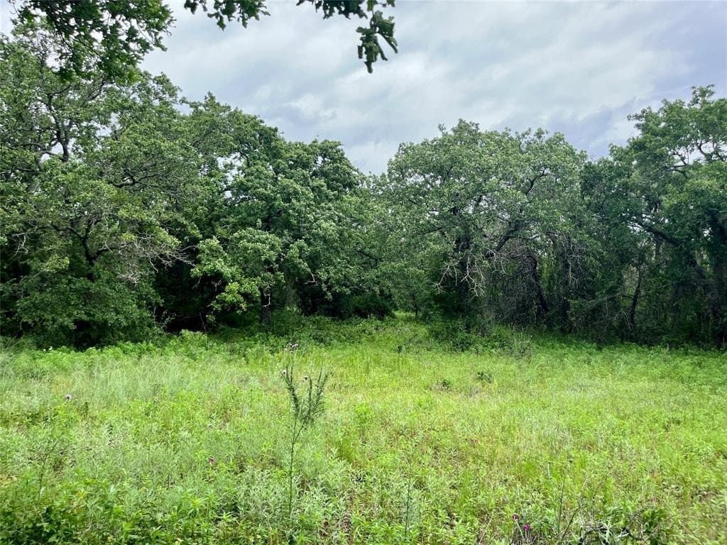 2 acres in Parker County gallery image 3