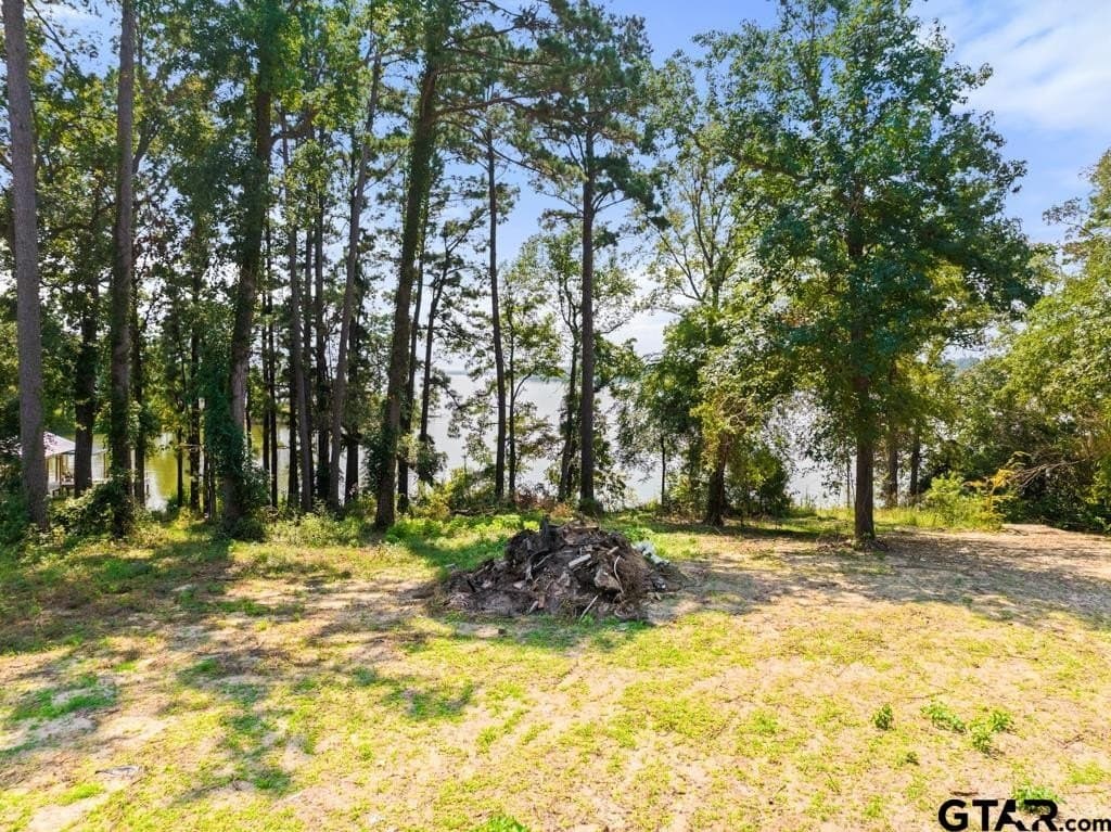 0.25 acres in Cherokee County - photo 17