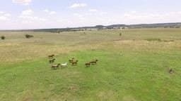25.81 acres in Somervell County gallery image 3