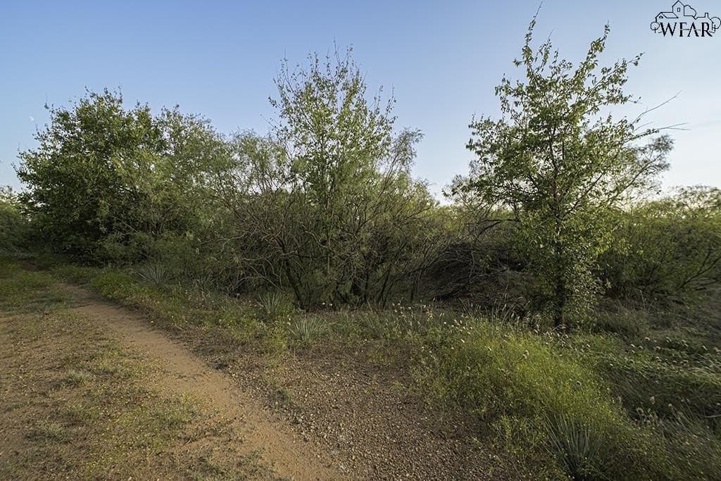 19.1 acres in Wichita County featured view
