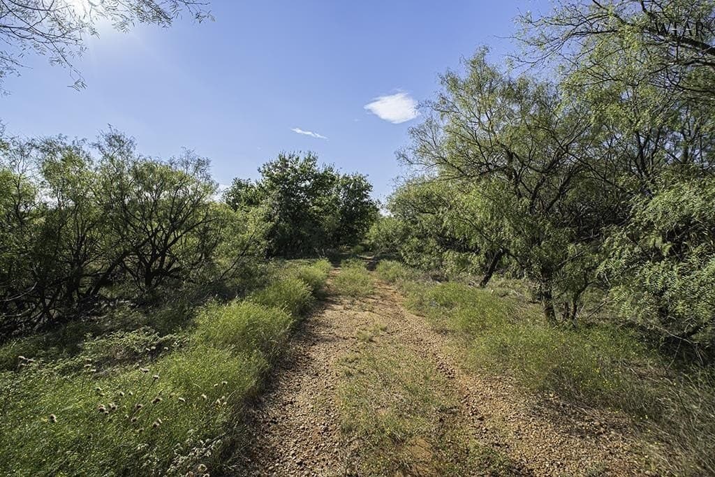19.1 acres in Wichita County gallery image 2