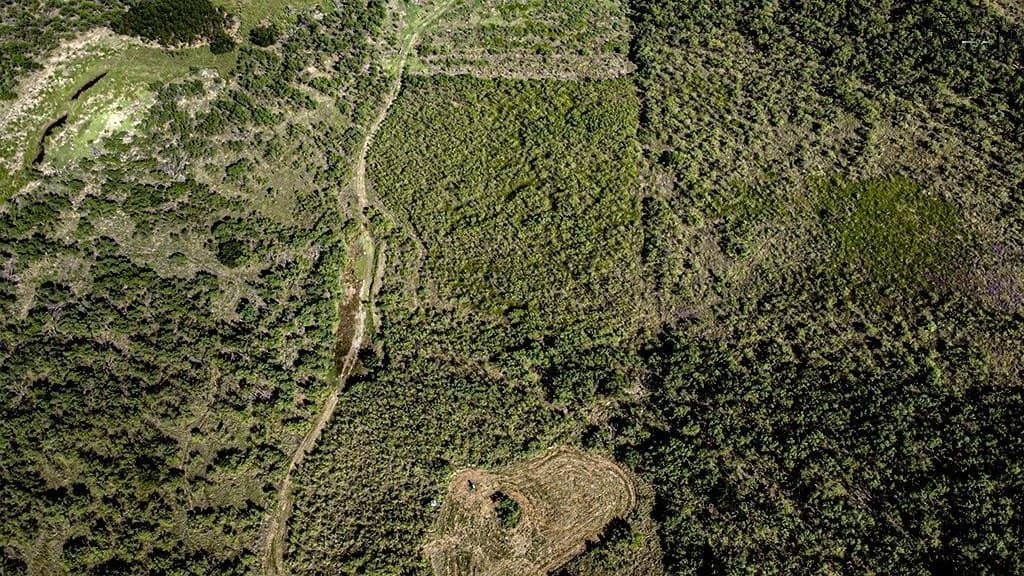 19.1 acres in Wichita County - photo 14