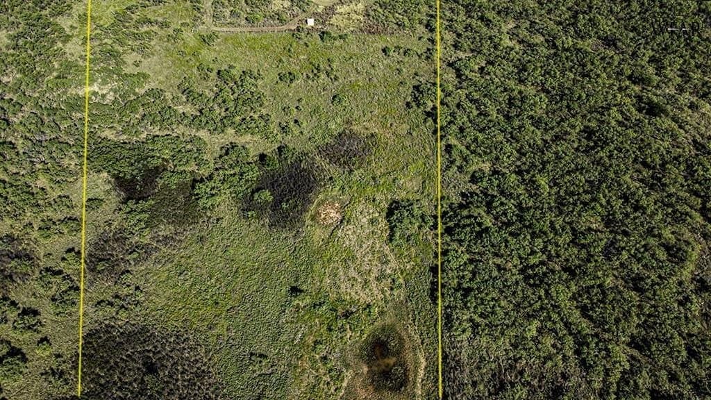 19.1 acres in Wichita County - photo 13