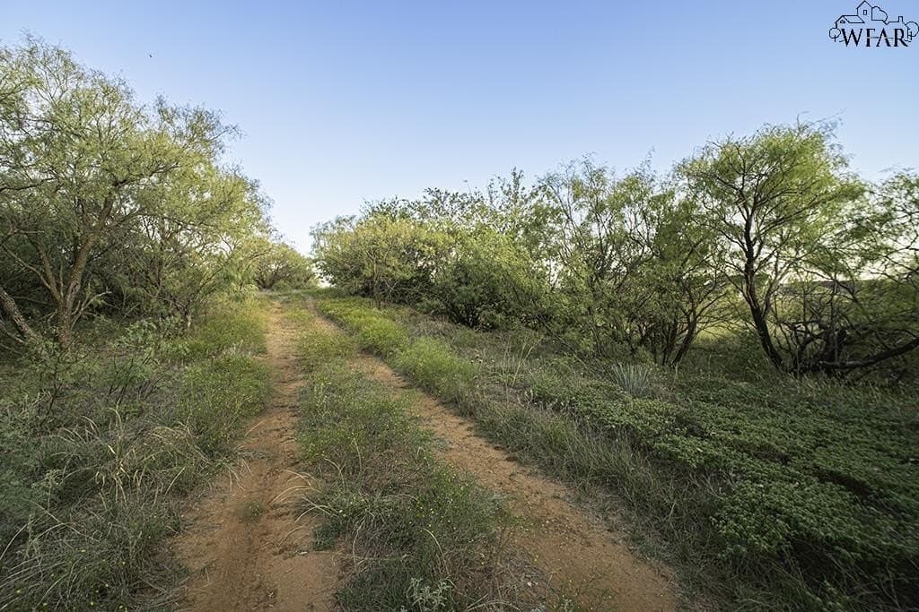 19.1 acres in Wichita County - photo 6