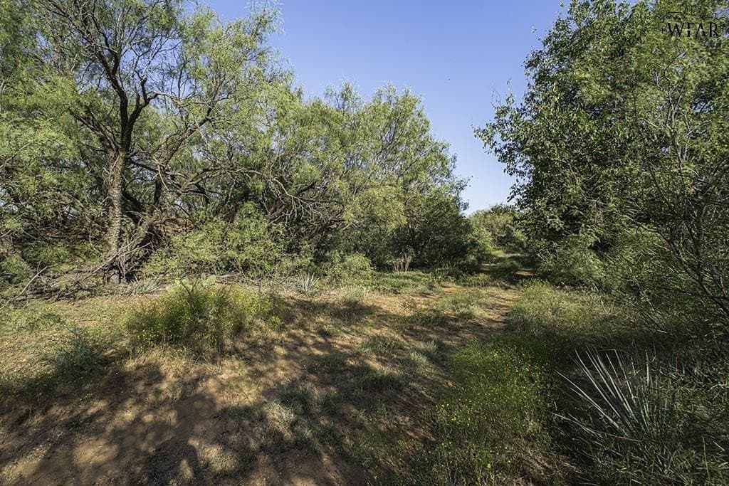 19.1 acres in Wichita County gallery image 4