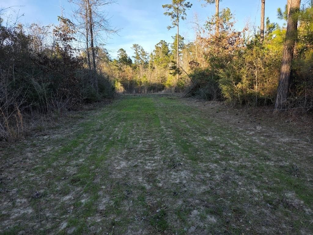 39.09 acres in Texas County - photo 26