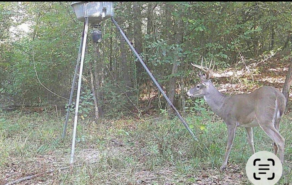 39.09 acres in Texas County - photo 17