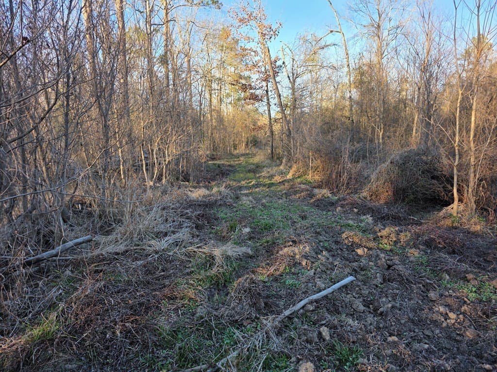 39.09 acres in Texas County - photo 8