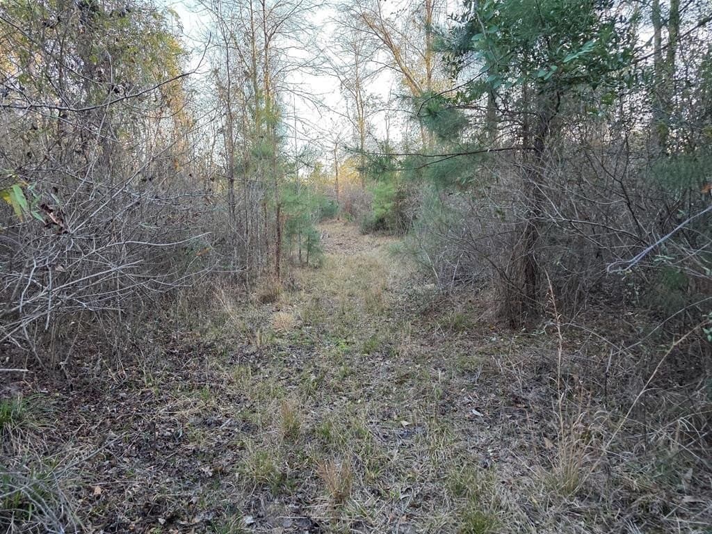 39.09 acres in Texas County - photo 39
