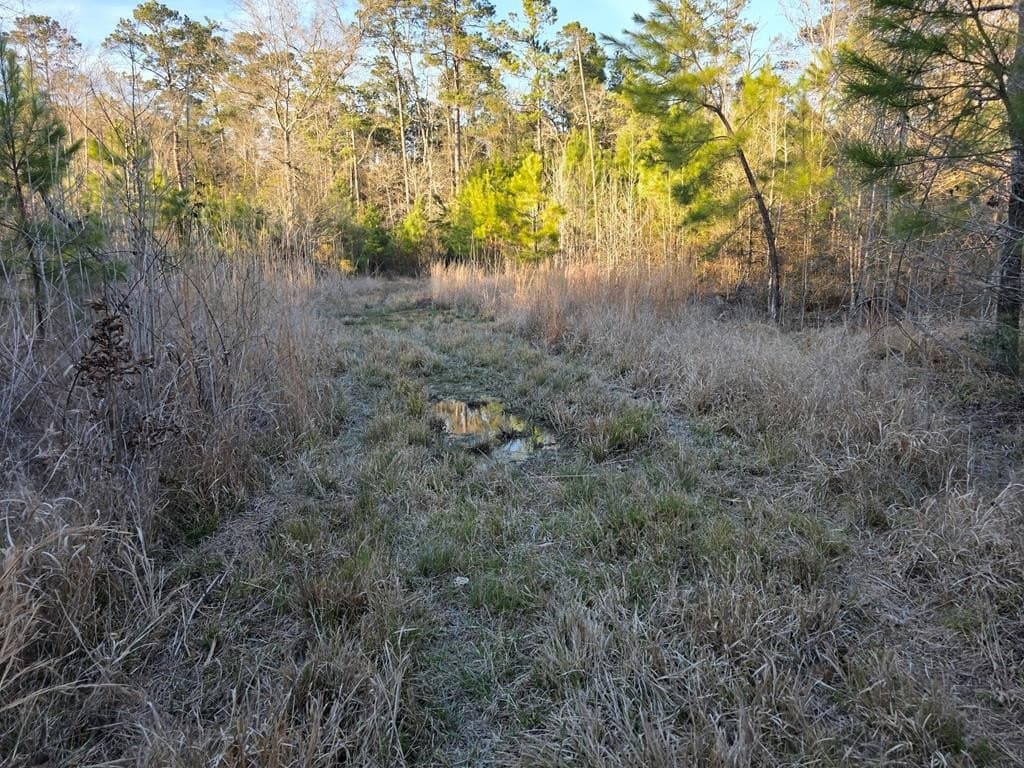 39.09 acres in Texas County - photo 28