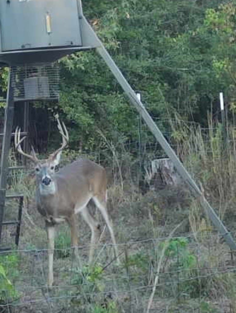 39.09 acres in Texas County - photo 14