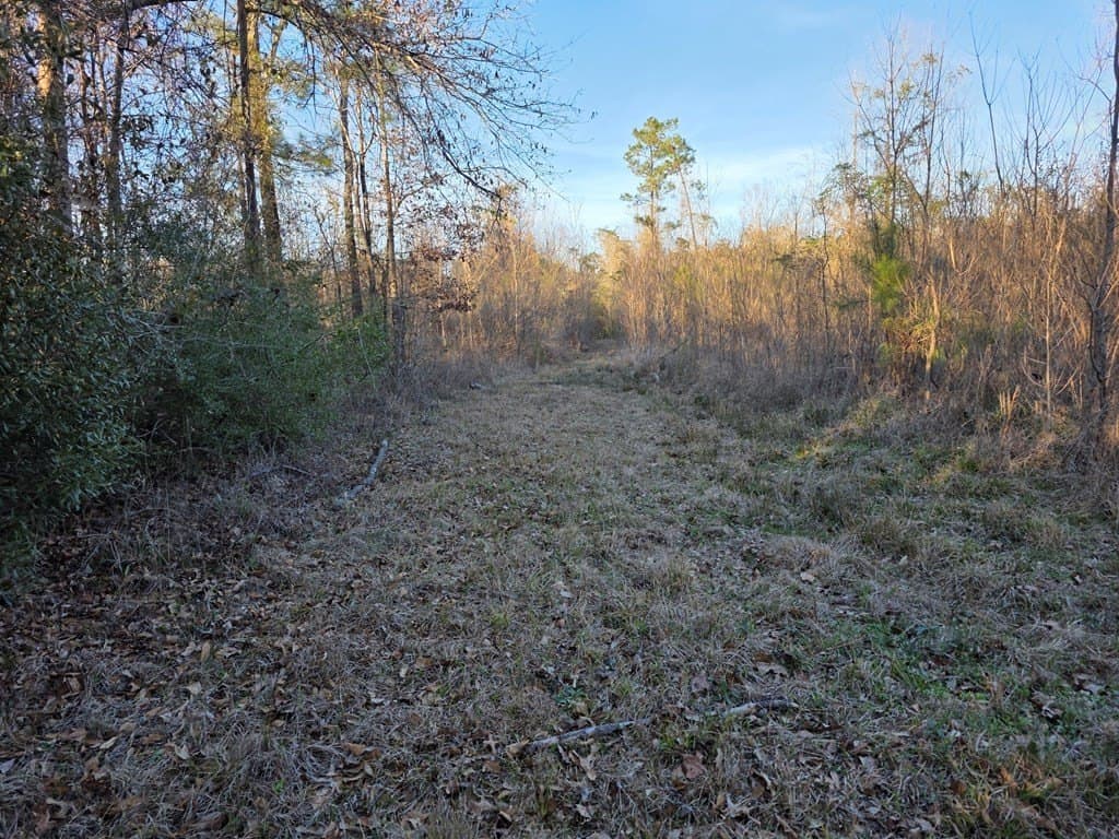39.09 acres in Texas County - photo 9