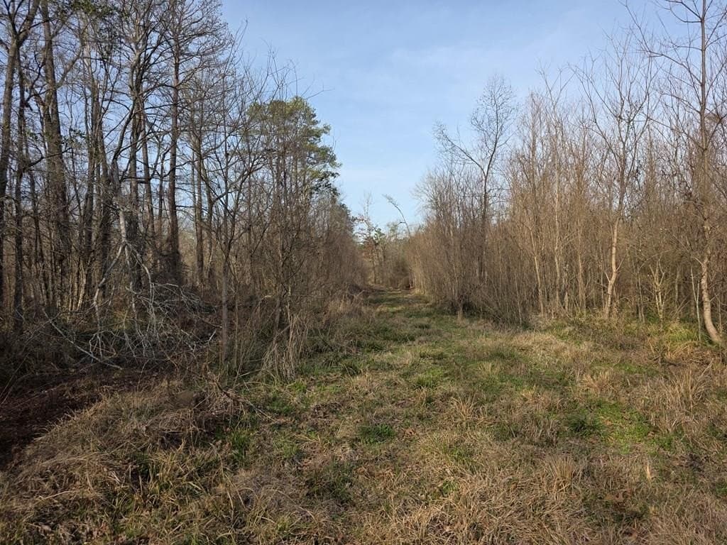 39.09 acres in Texas County - photo 7