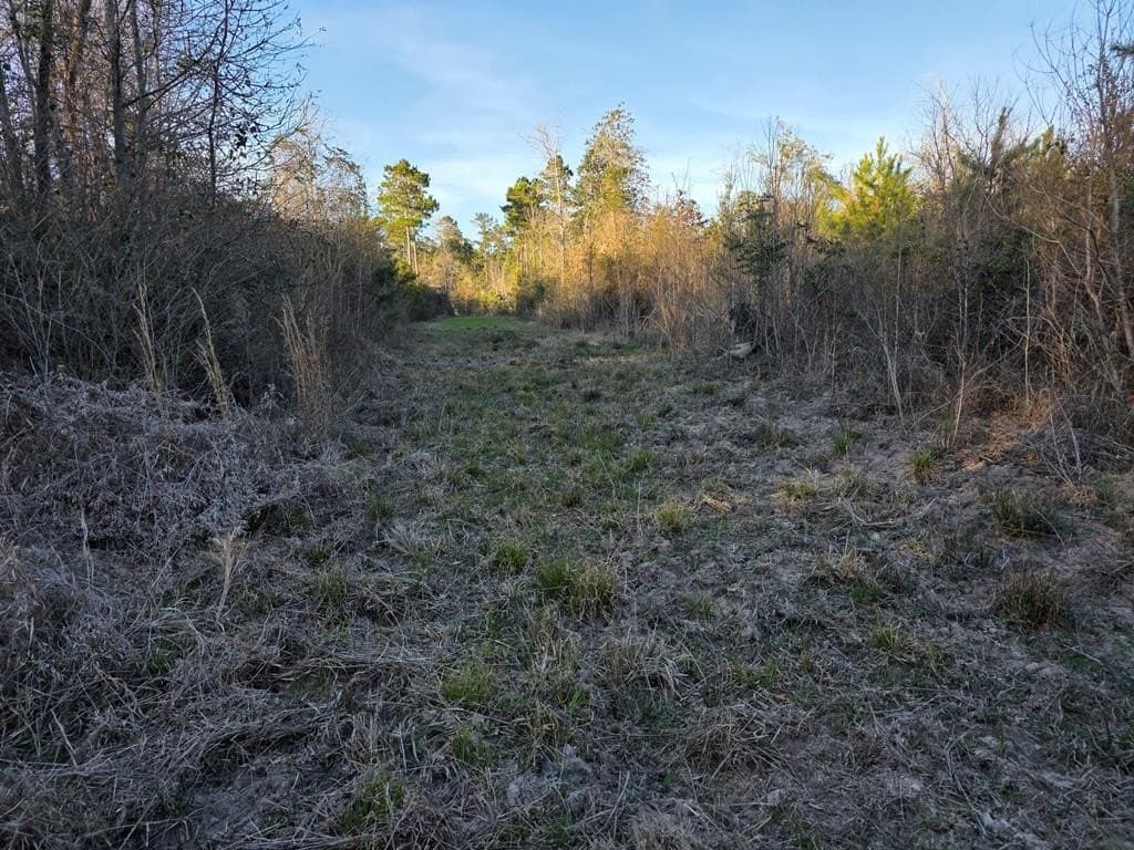 39.09 acres in Texas County - photo 25