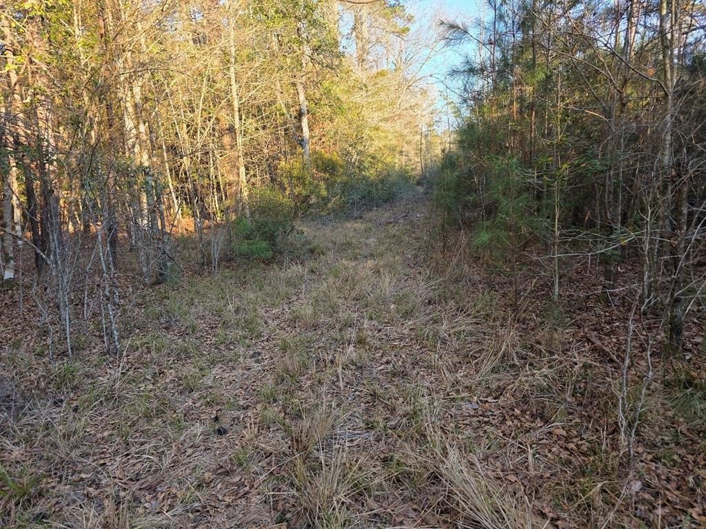 39.09 acres in Texas County - photo 33