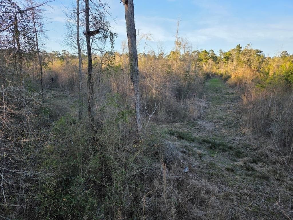 39.09 acres in Texas County - photo 23