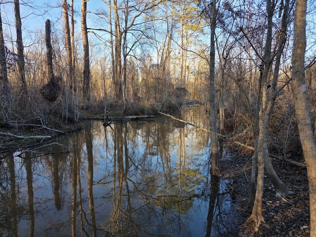 39.09 acres in Texas County - photo 2