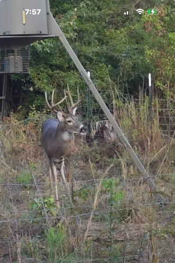 39.09 acres in Texas County - photo 3