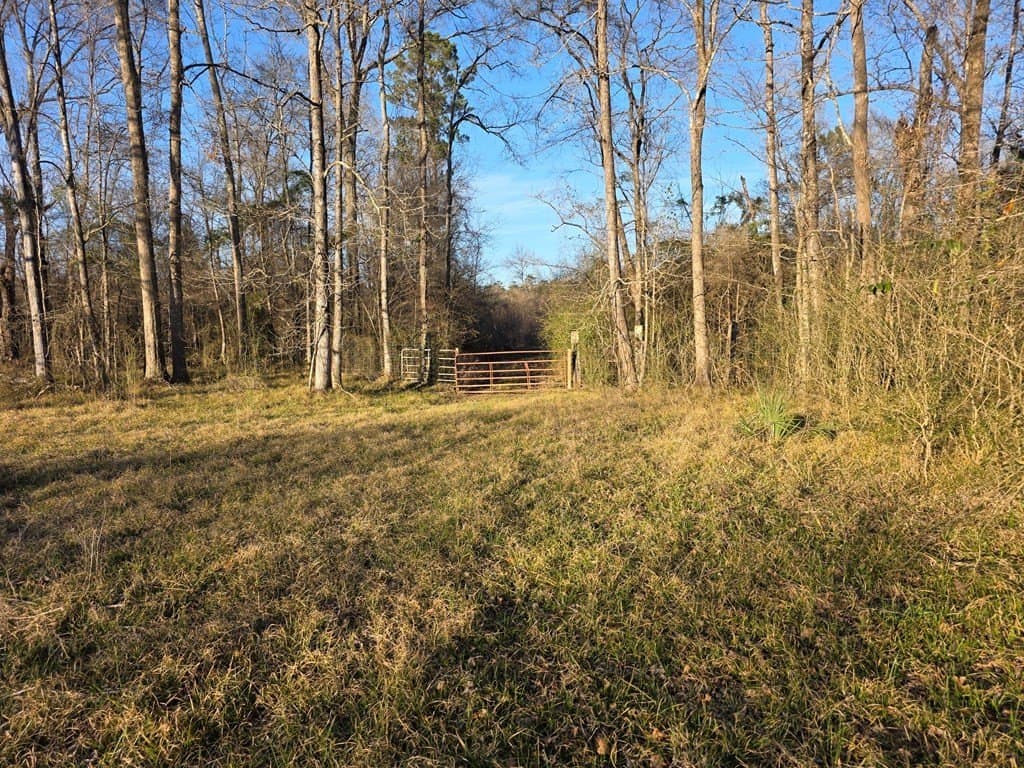 39.09 acres in Texas County gallery image 3
