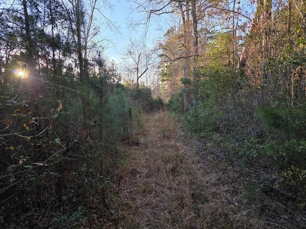 39.09 acres in Texas County - photo 31