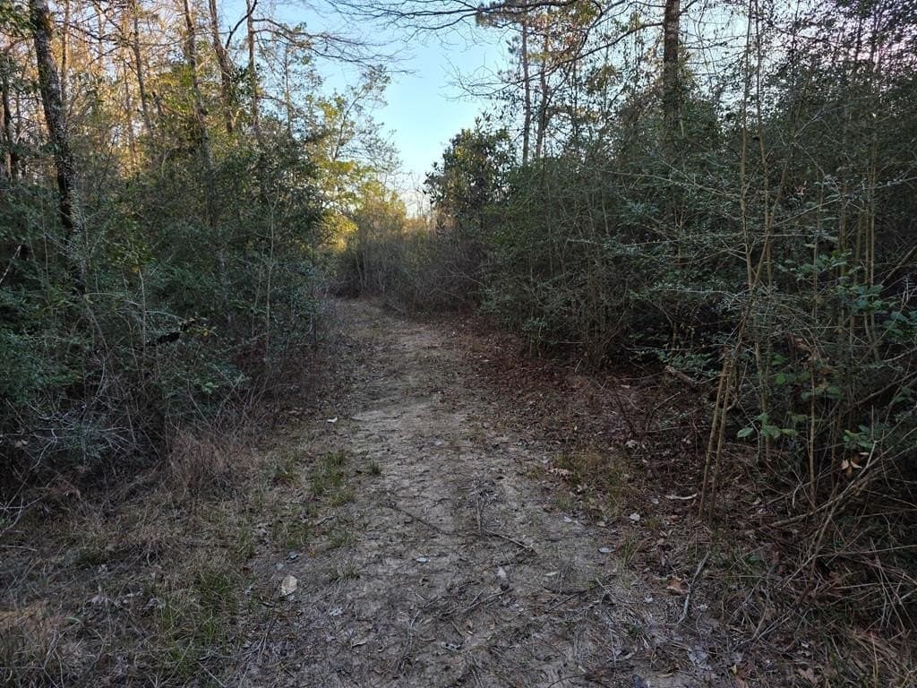 39.09 acres in Texas County - photo 38