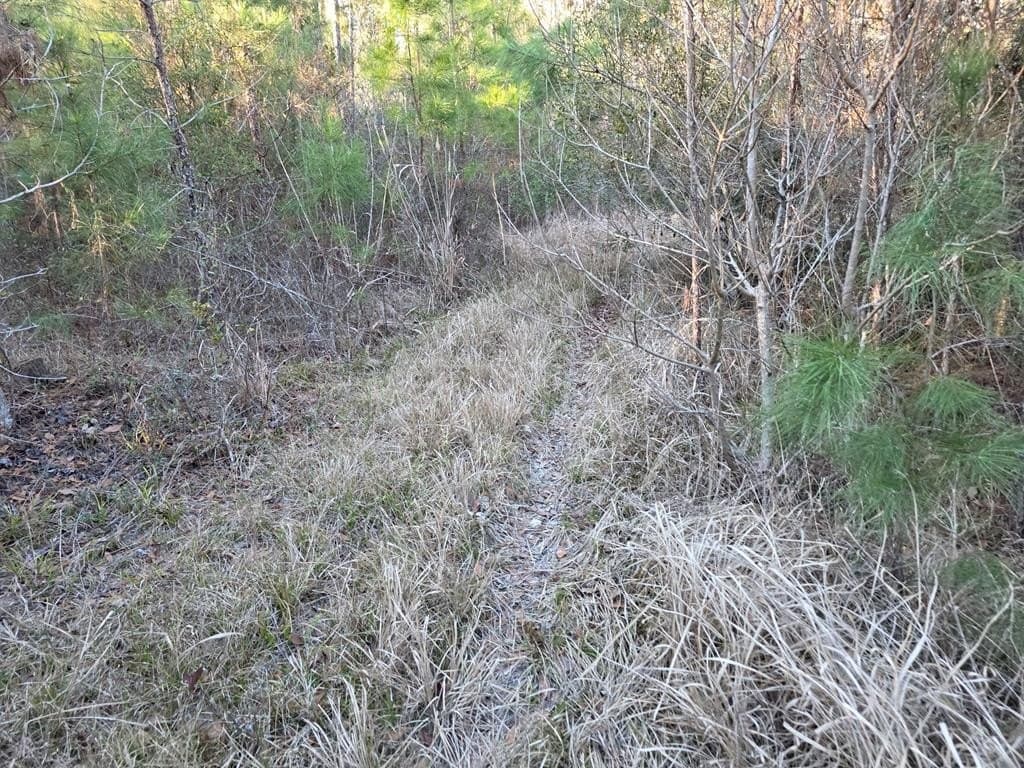 39.09 acres in Texas County - photo 29