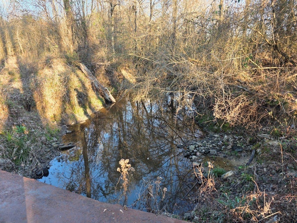 39.09 acres in Texas County featured view
