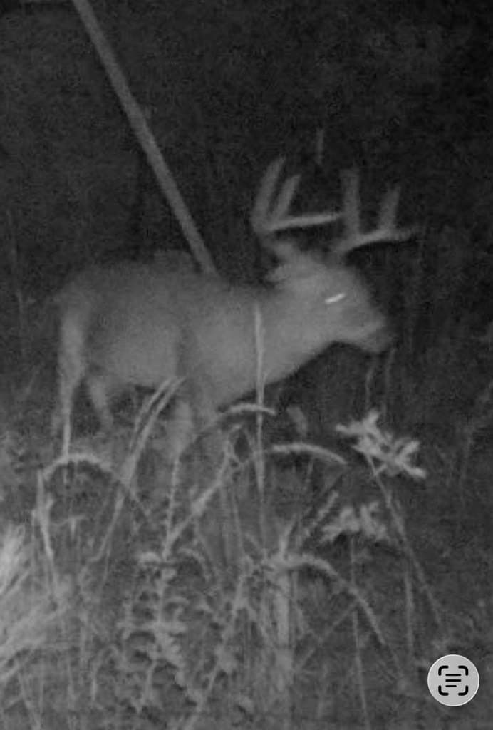 39.09 acres in Texas County - photo 15