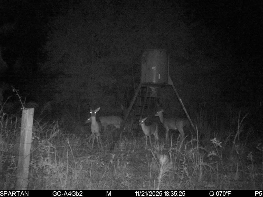 39.09 acres in Texas County - photo 16