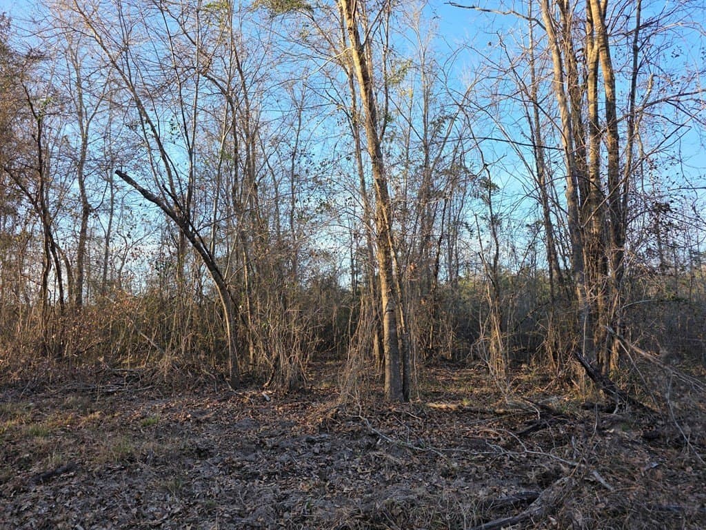39.09 acres in Texas County - photo 13