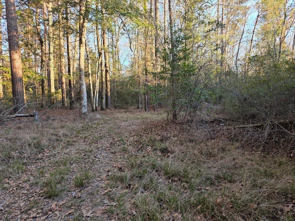 39.09 acres in Texas County - photo 37