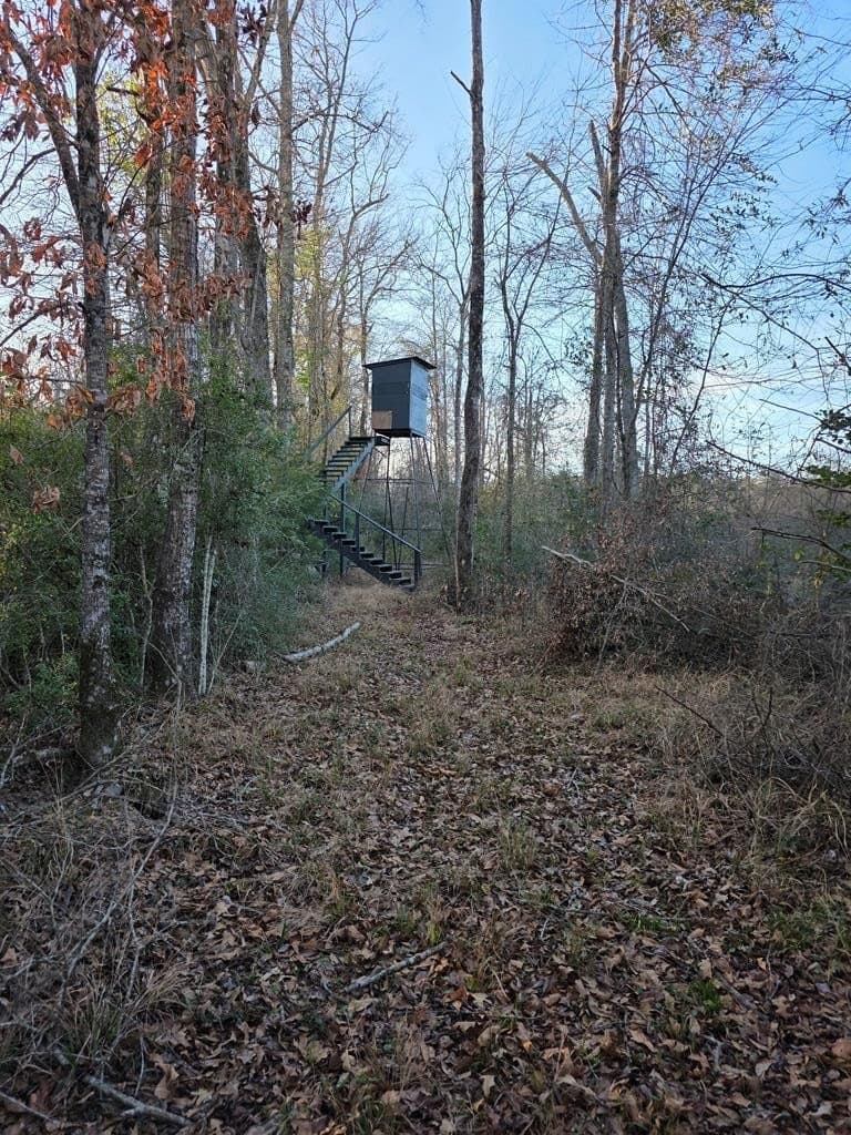 39.09 acres in Texas County - photo 19