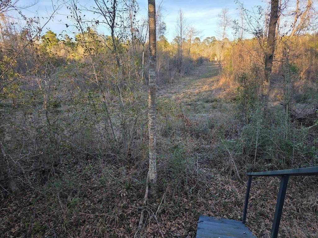 39.09 acres in Texas County - photo 21