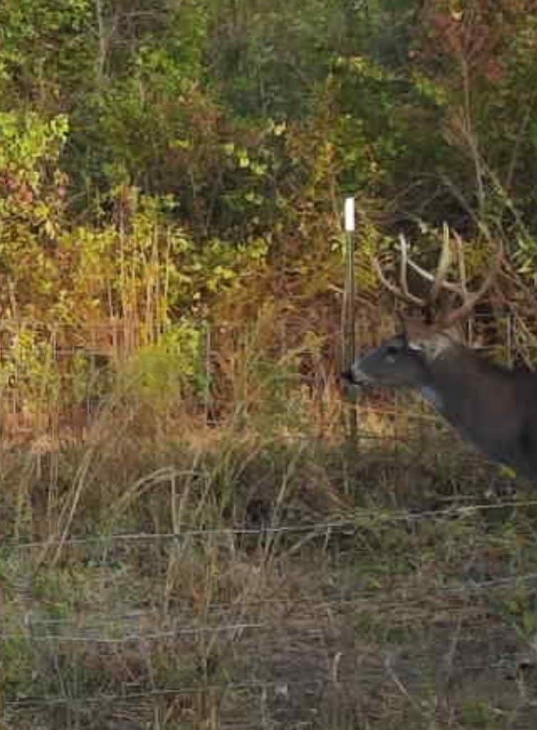 39.09 acres in Texas County - photo 18