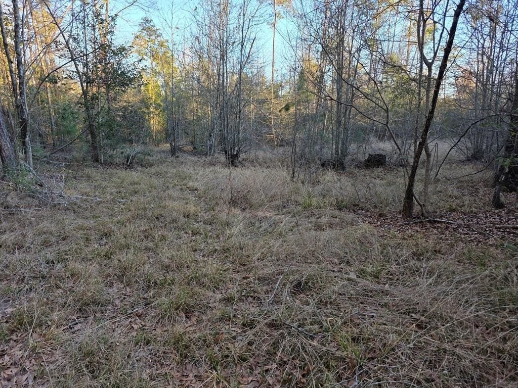 39.09 acres in Texas County - photo 35