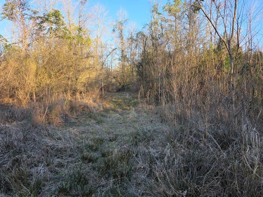39.09 acres in Texas County - photo 11