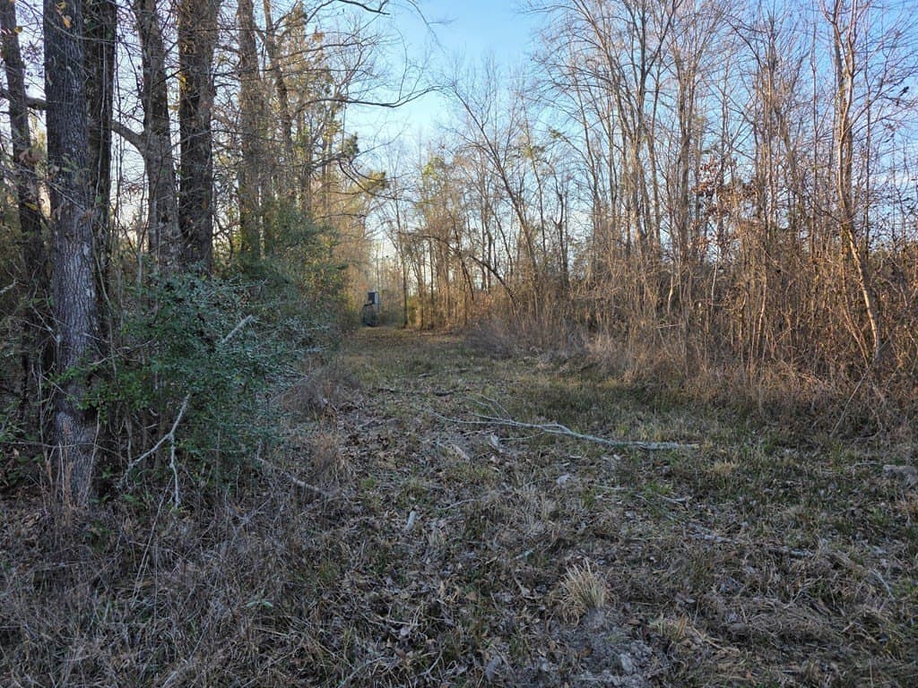 39.09 acres in Texas County - photo 10