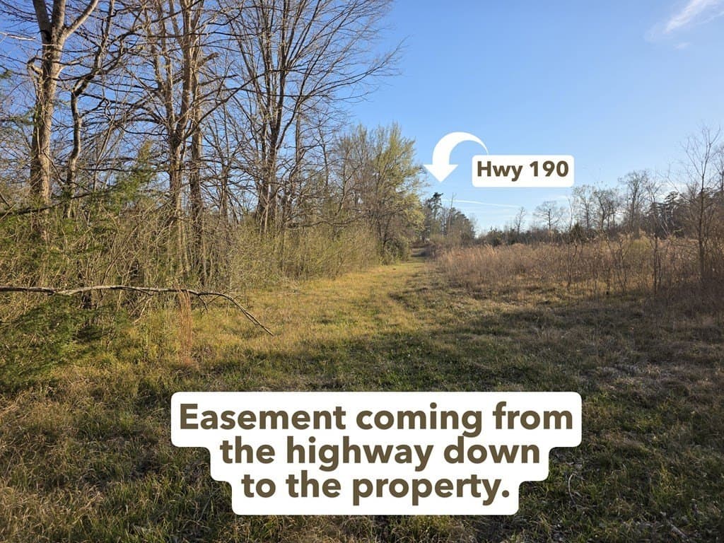 39.09 acres in Texas County gallery image 2