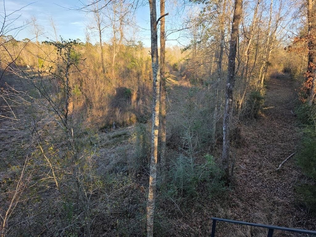39.09 acres in Texas County - photo 22