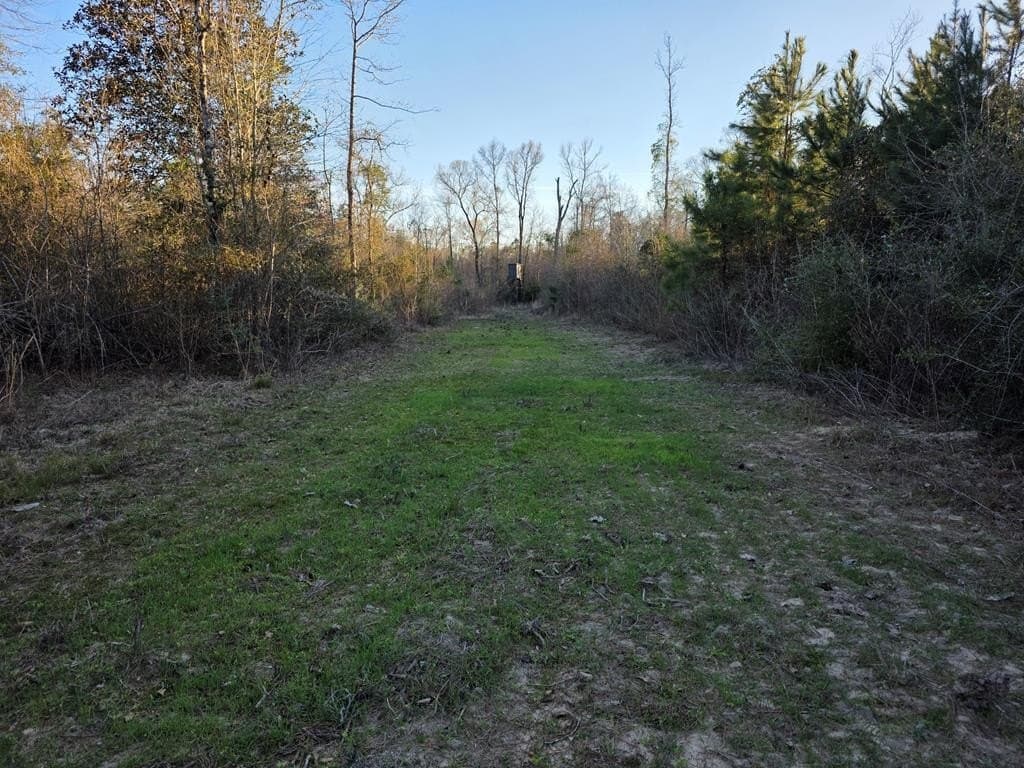 39.09 acres in Texas County - photo 27