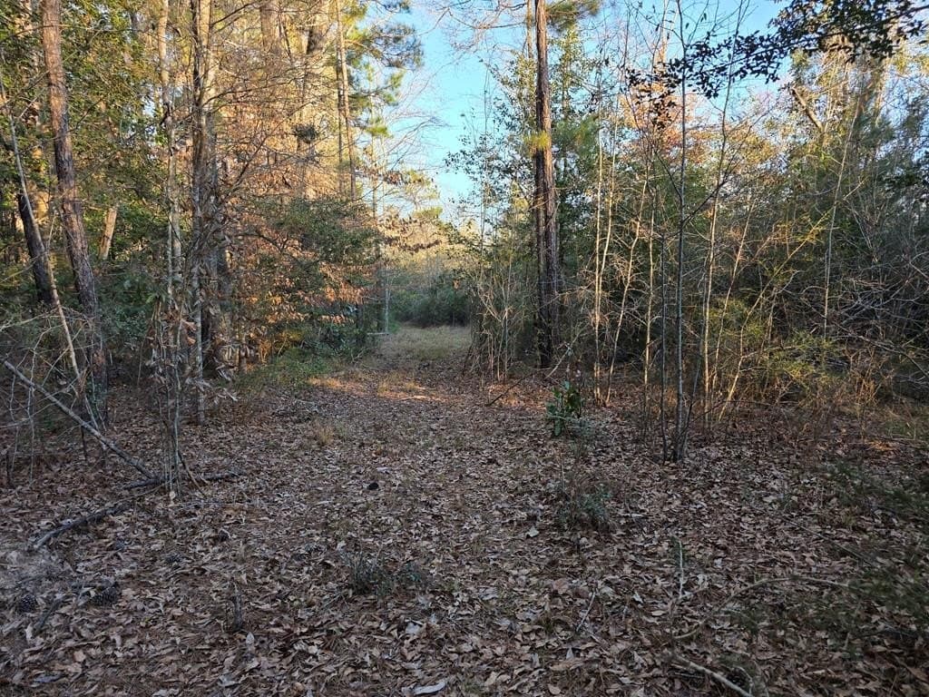 39.09 acres in Texas County - photo 36