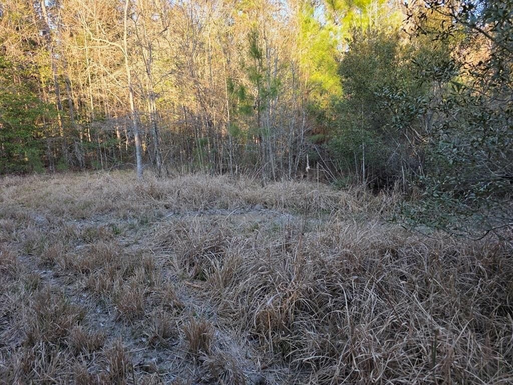 39.09 acres in Texas County - photo 30
