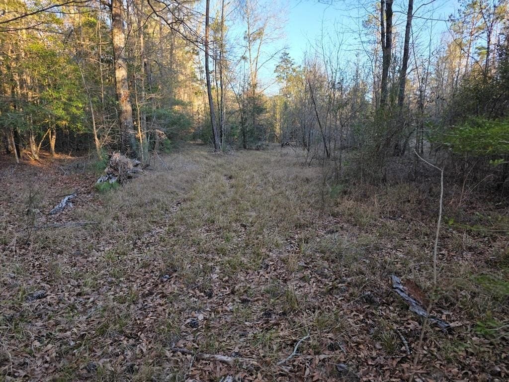 39.09 acres in Texas County - photo 34