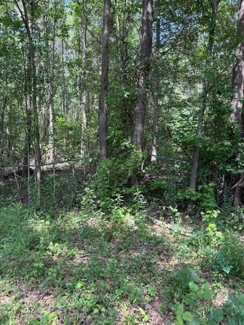 17.05 acres in ANDERSON County - photo 3
