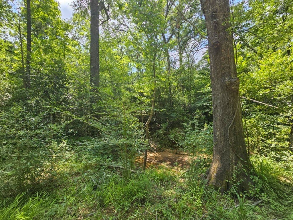 17.05 acres in ANDERSON County - photo 6