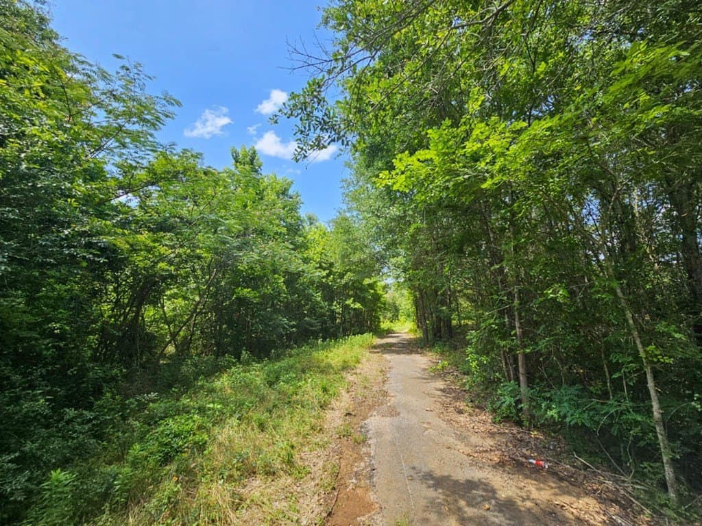 17.05 acres in ANDERSON County - photo 11