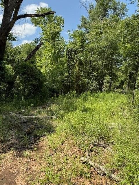 17.05 acres in ANDERSON County - photo 14