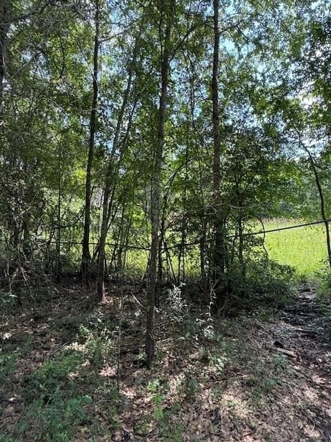 17.05 acres in ANDERSON County - photo 4