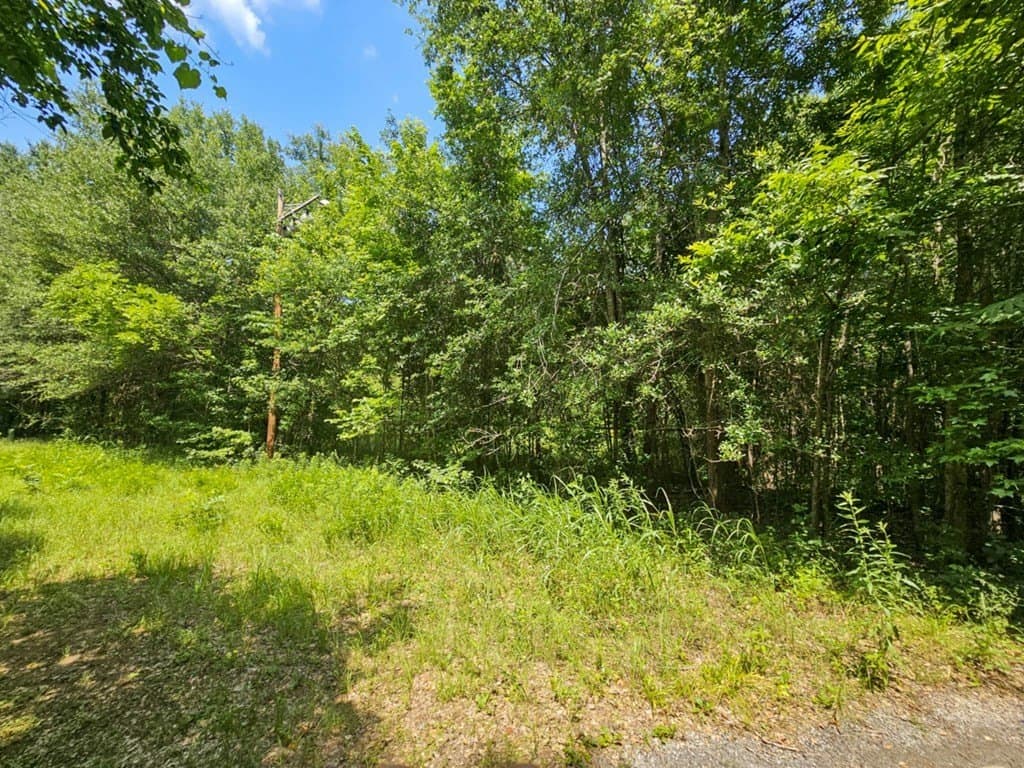17.05 acres in ANDERSON County - photo 13