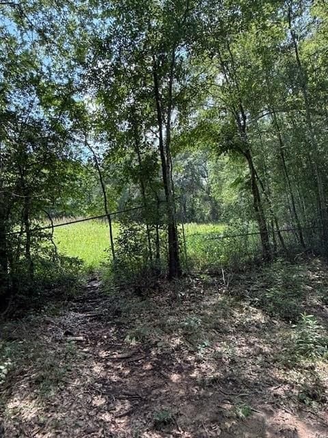 17.05 acres in ANDERSON County - photo 12